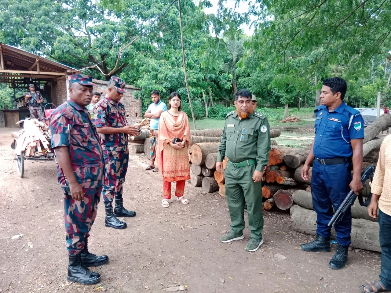 সাতক্ষীরার কলারোয়ায় তিনটি করাতকলে টাস্কফোর্সের অভিযান